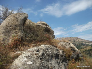 ano Margi-18-08-2016 11-37-12